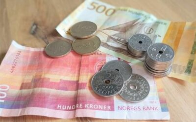 Støtte til utskifting fra gammel til rentbrennende vedovn i Bamble kommune
