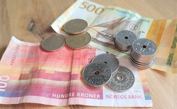 Støtte til utskifting fra gammel til rentbrennende vedovn i Bamble kommune