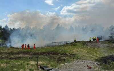 Skogbrannøvelse Ulefoss (Holla) 20. og 22. mai 2025